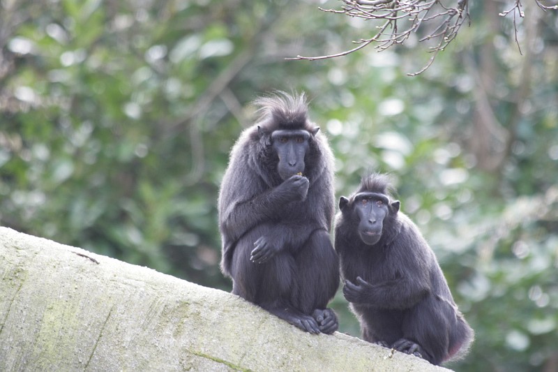 Fotoclubje Blijdorp 2008-136.jpg